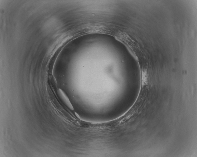 X0000073850291200608101232