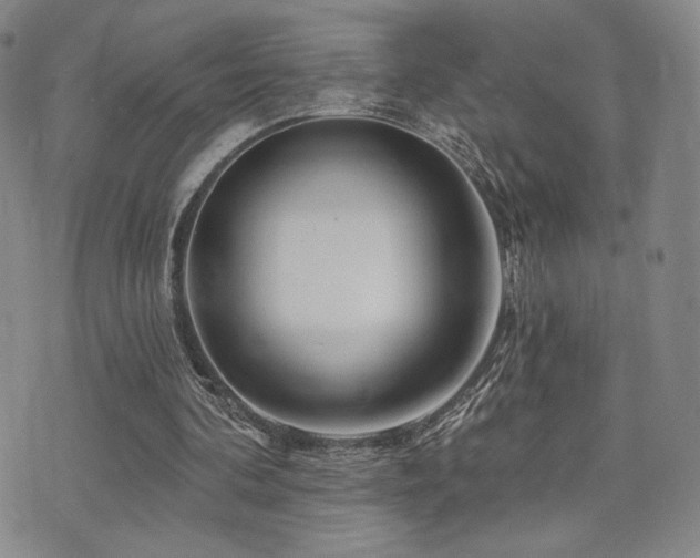 X0000073850292200608101232