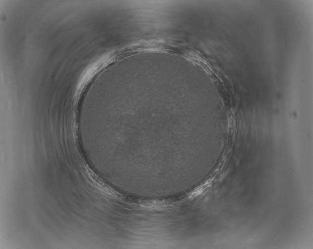 X0000073850293200608101232