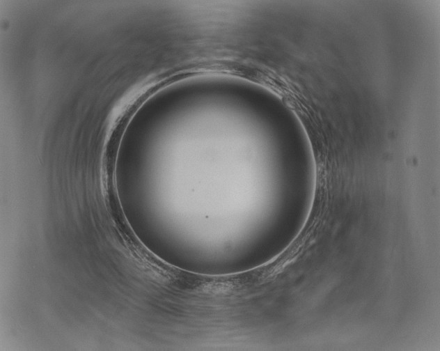 X0000073850294200608101232