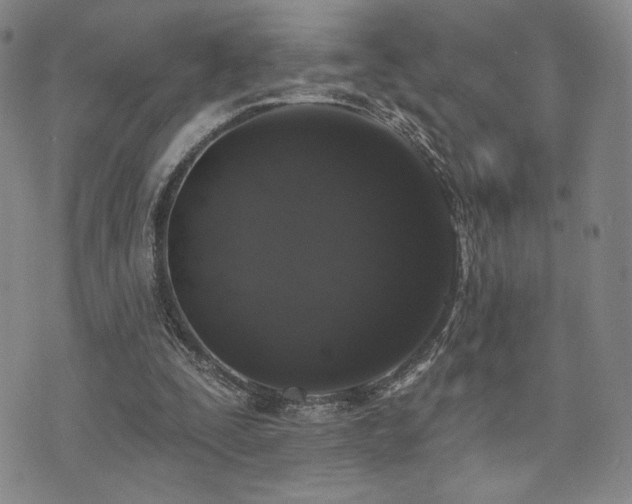 X0000073850295200608101232