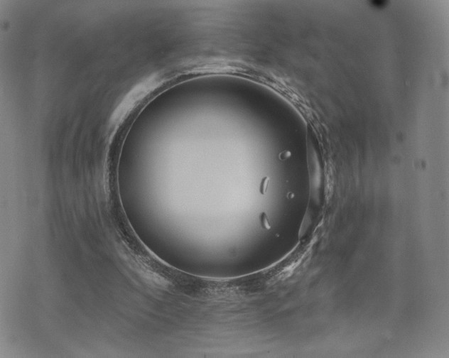 X0000073850296200608101232