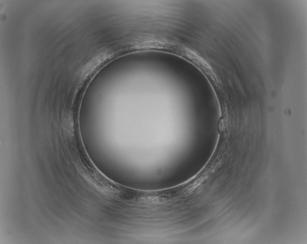 X0000073850298200608101232