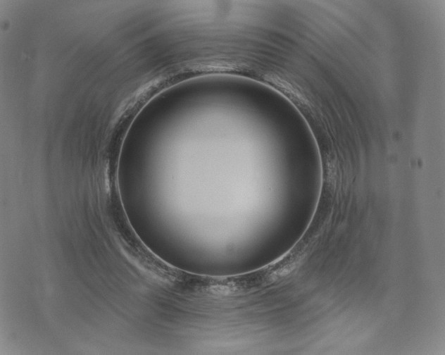 X0000073850302200608101232