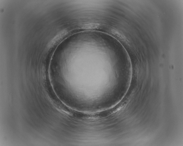 X0000073850303200608101232