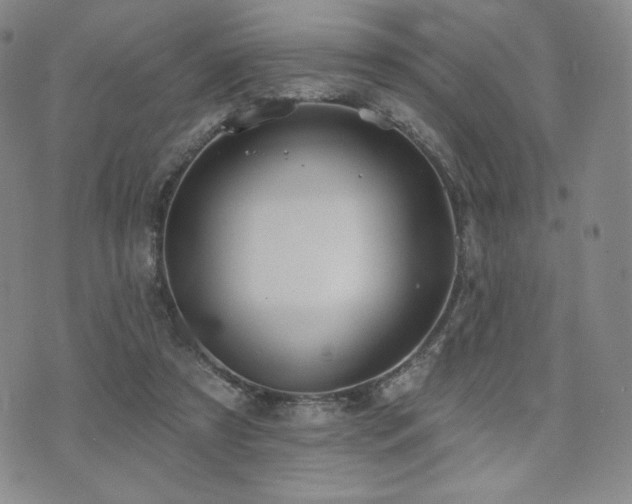 X0000073850305200608101232