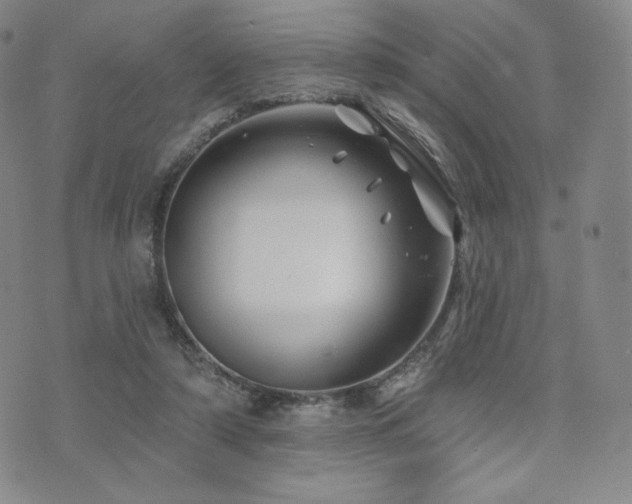 X0000073850306200608101232