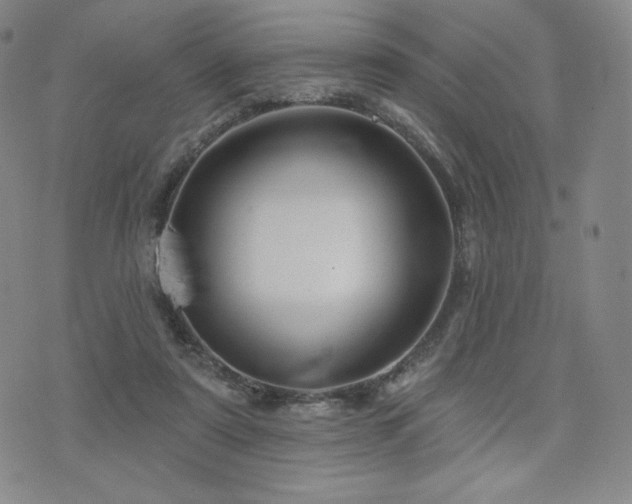 X0000073850307200608101232