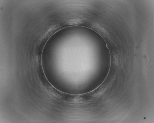 X0000073850308200608101232