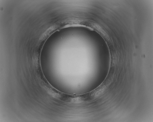 X0000073850309200608101232