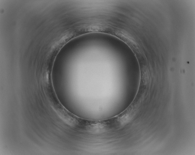 X0000073850310200608101232