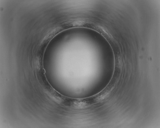 X0000073850311200608101232