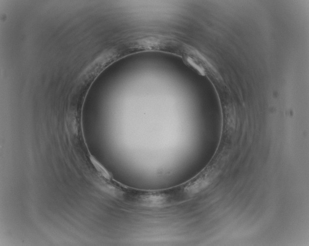 X0000073850313200608101232