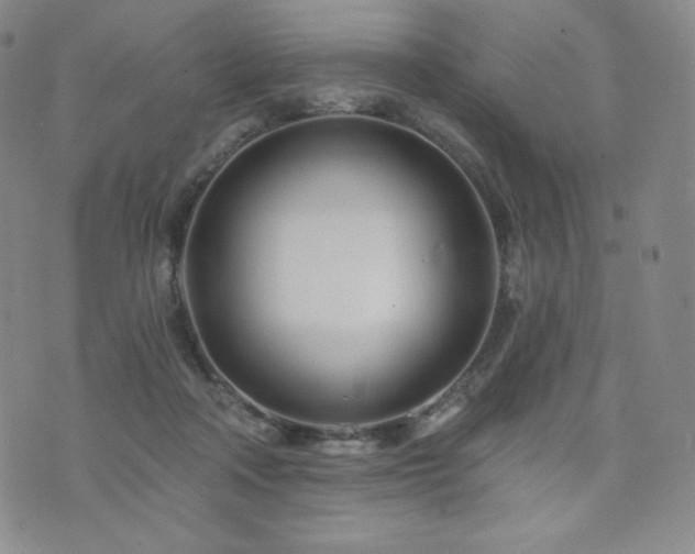 X0000073850314200608101232