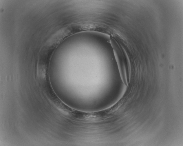 X0000073850315200608101232