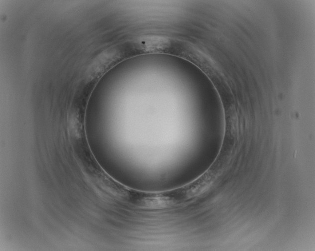 X0000073850316200608101232