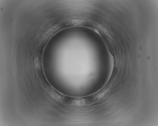 X0000073850317200608101232