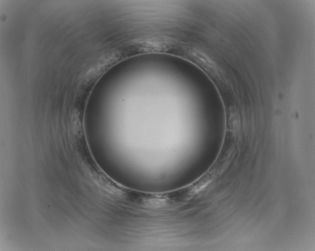 X0000073850318200608101232