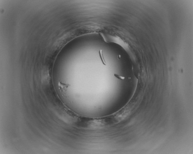 X0000073850320200608101232