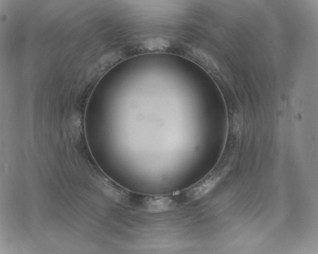 X0000073850321200608101232