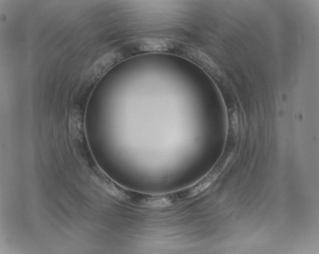 X0000073850322200608101232