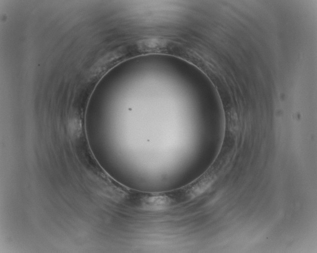 X0000073850324200608101232