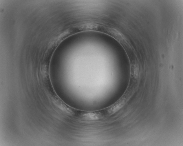 X0000073850326200608101232