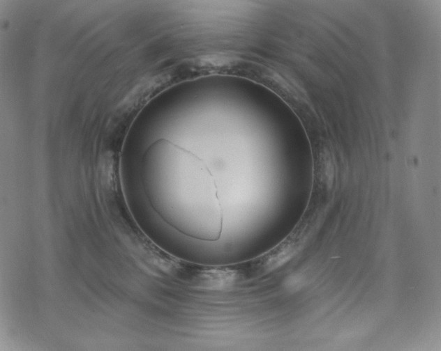 X0000073850328200608101232