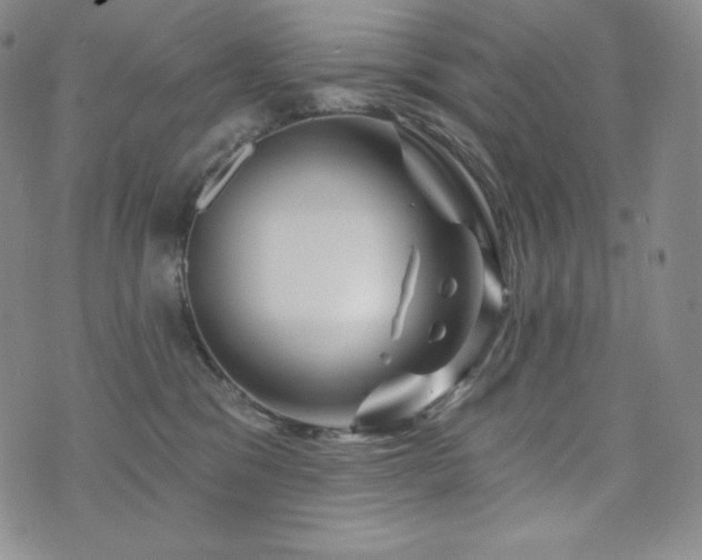 X0000073850329200608101231