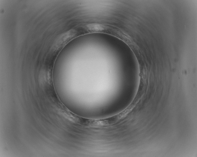 X0000073850330200608101231