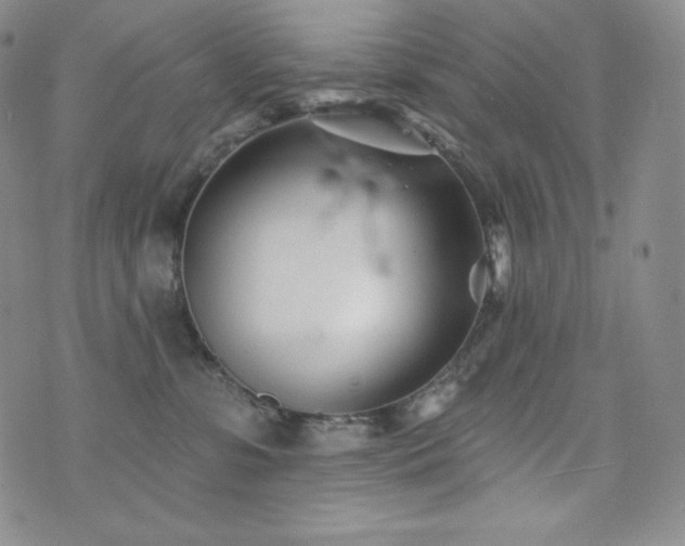 X0000073850331200608101231