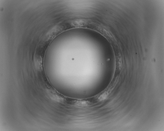 X0000073850332200608101231