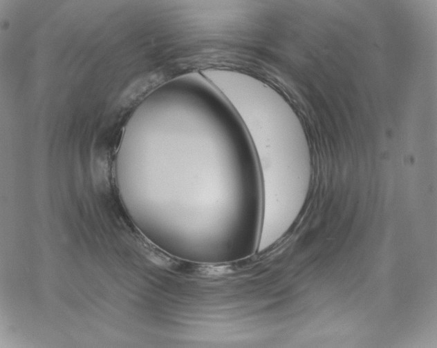 X0000073850333200608101231