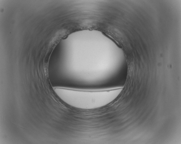 X0000073850335200608101231