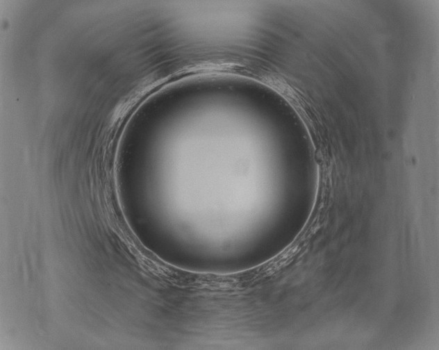 X0000073850337200608101231