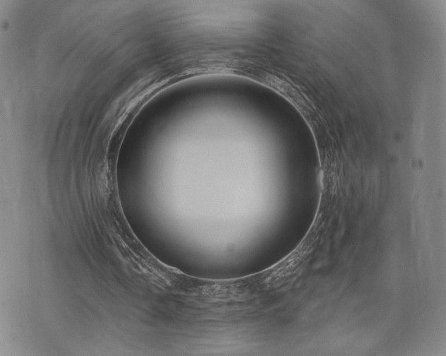 X0000073850338200608101231