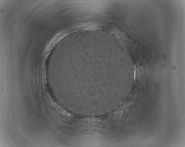 X0000073850339200608101231