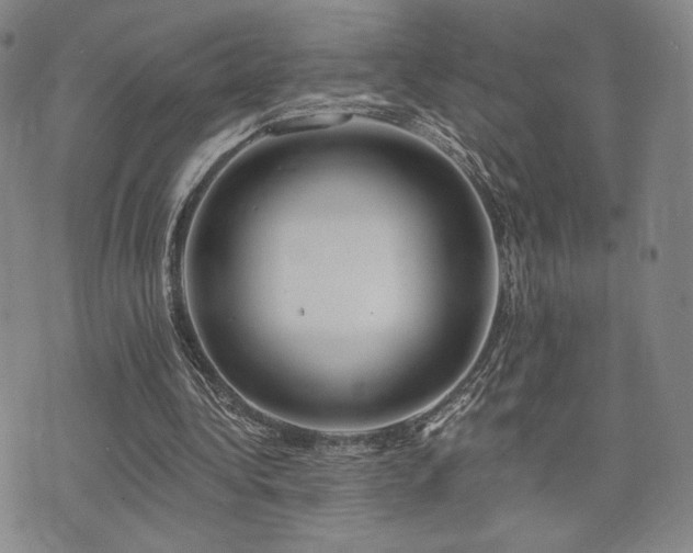 X0000073850340200608101231