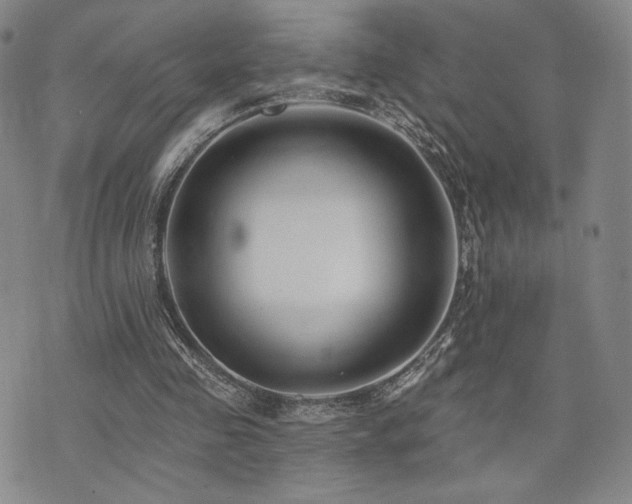 X0000073850341200608101231