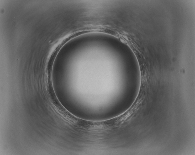 X0000073850342200608101231