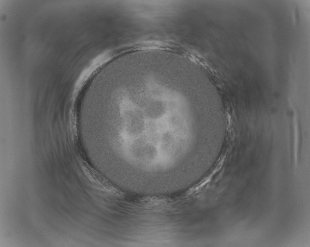 X0000073850343200608101231