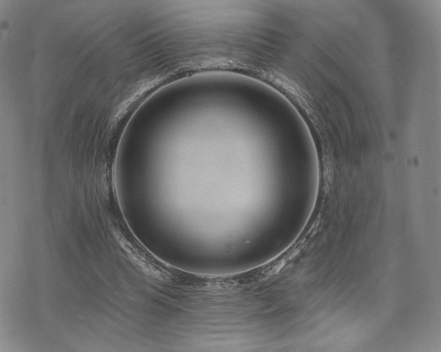 X0000073850345200608101231