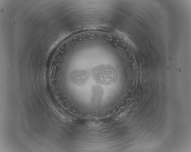 X0000073850346200608101231