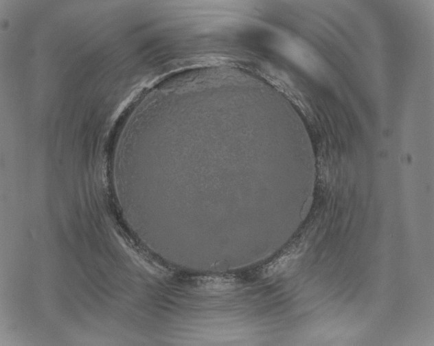 X0000073850347200608101231