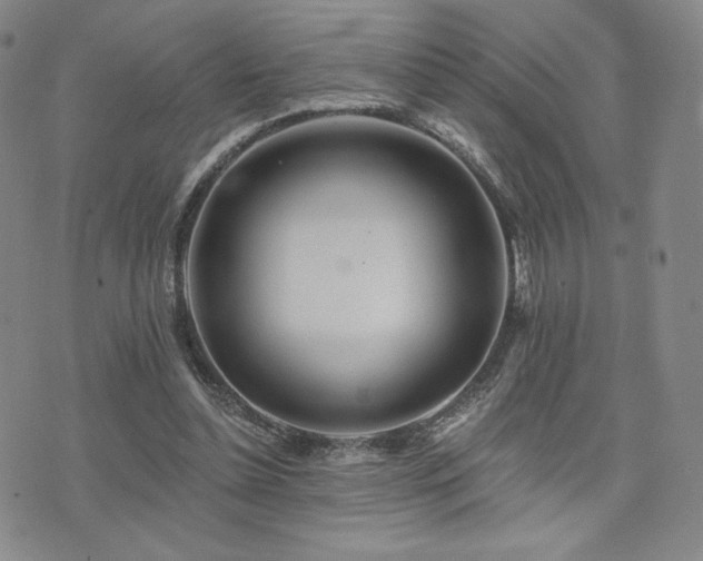 X0000073850348200608101231