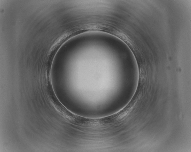 X0000073850349200608101231