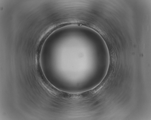 X0000073850350200608101231