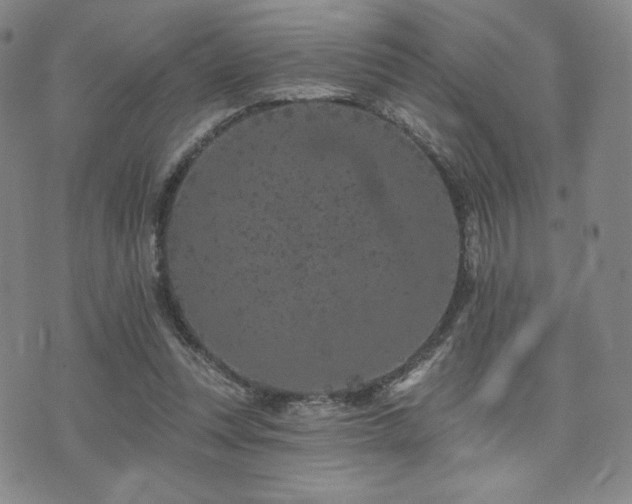 X0000073850351200608101231