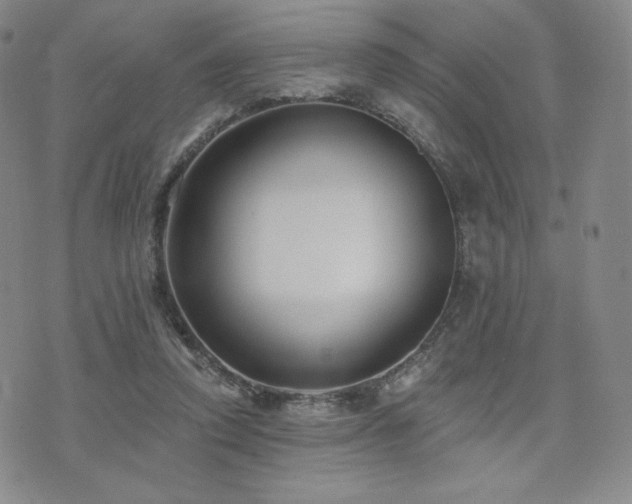 X0000073850354200608101231