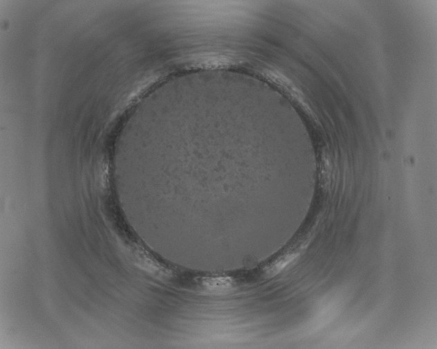 X0000073850355200608101231